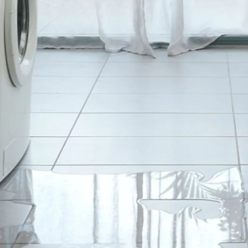 Appliance Leak Cleanup in Christian County, IL