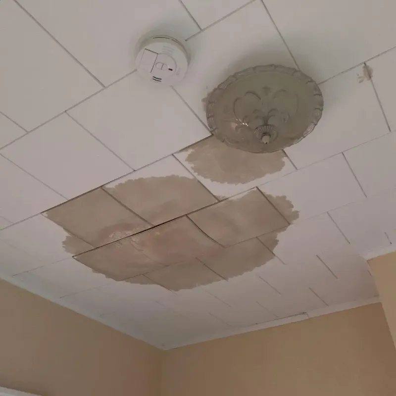Ceiling Water Damage Repair in Christian County, IL