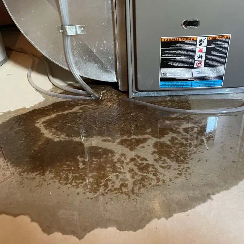 Pipe Burst and Leak Restoration in Christian County, IL
