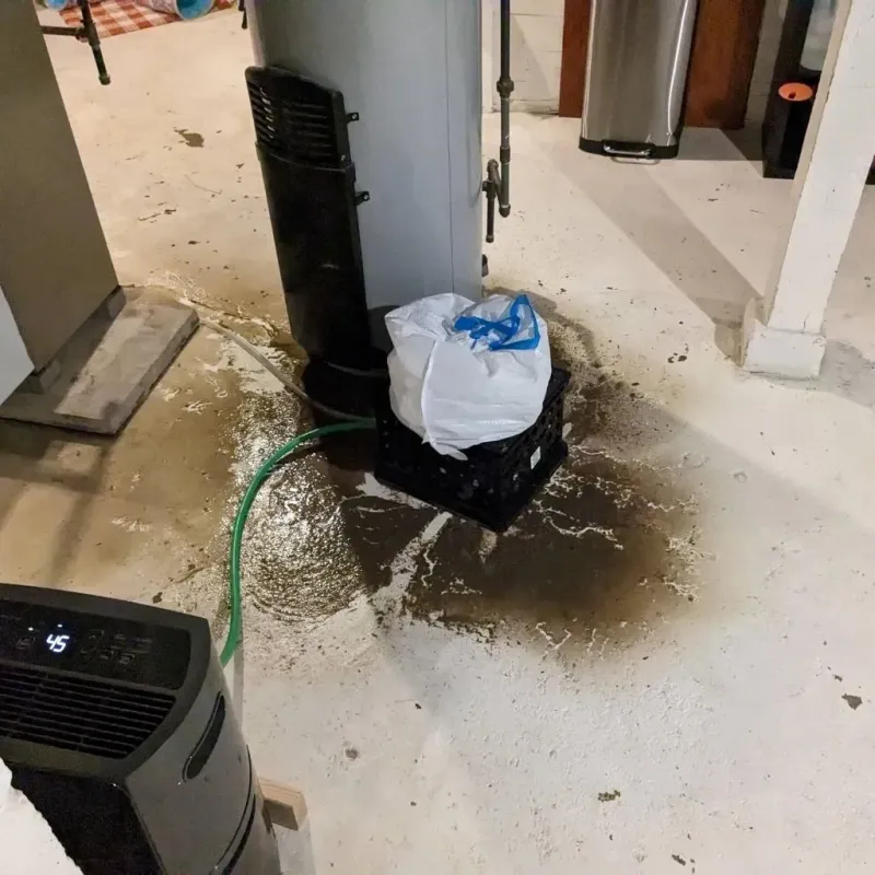 Sewage Backup Cleanup Service in Christian County, IL